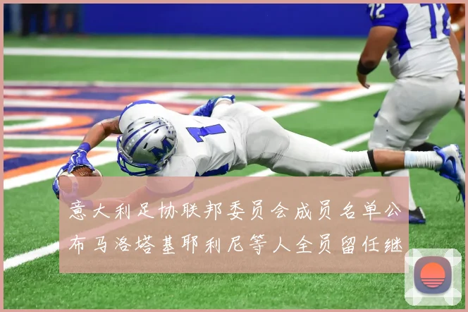 意大利足协联邦委员会成员名单公布马洛塔基耶利尼等人全员留任继续服务